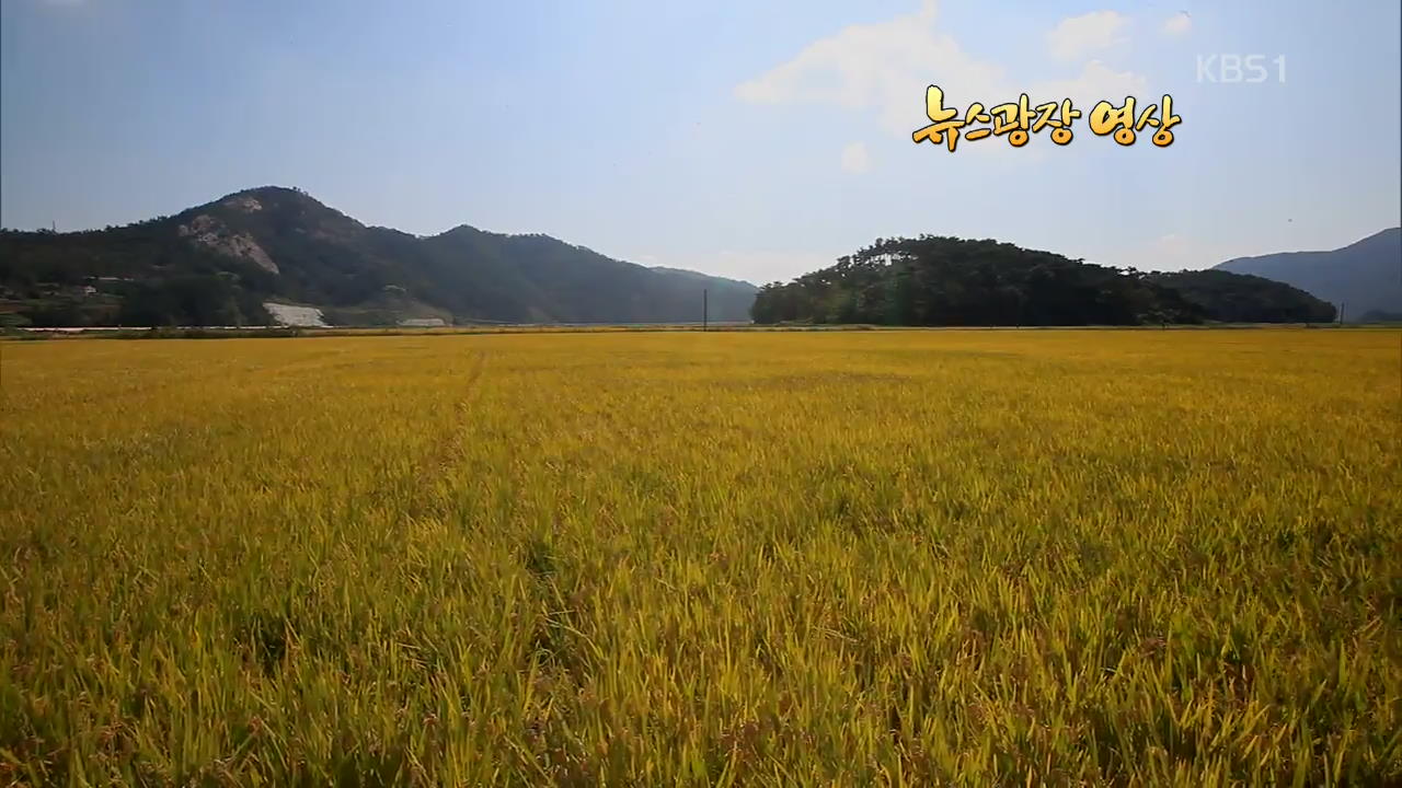 [뉴스광장 영상] 구수리 마을