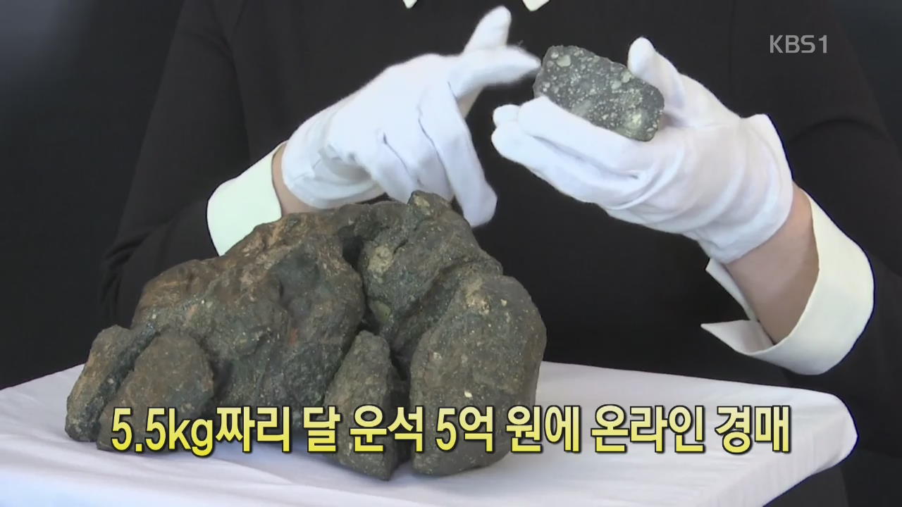 [디지털 광장] 5.5kg짜리 달 운석 5억 원에 온라인 경매