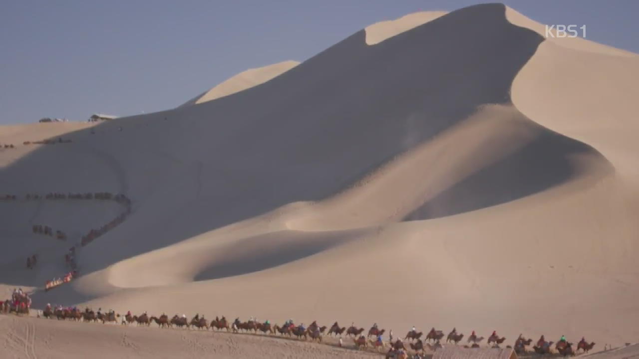 중국 고비사막 ‘낙타 관광’ 인기