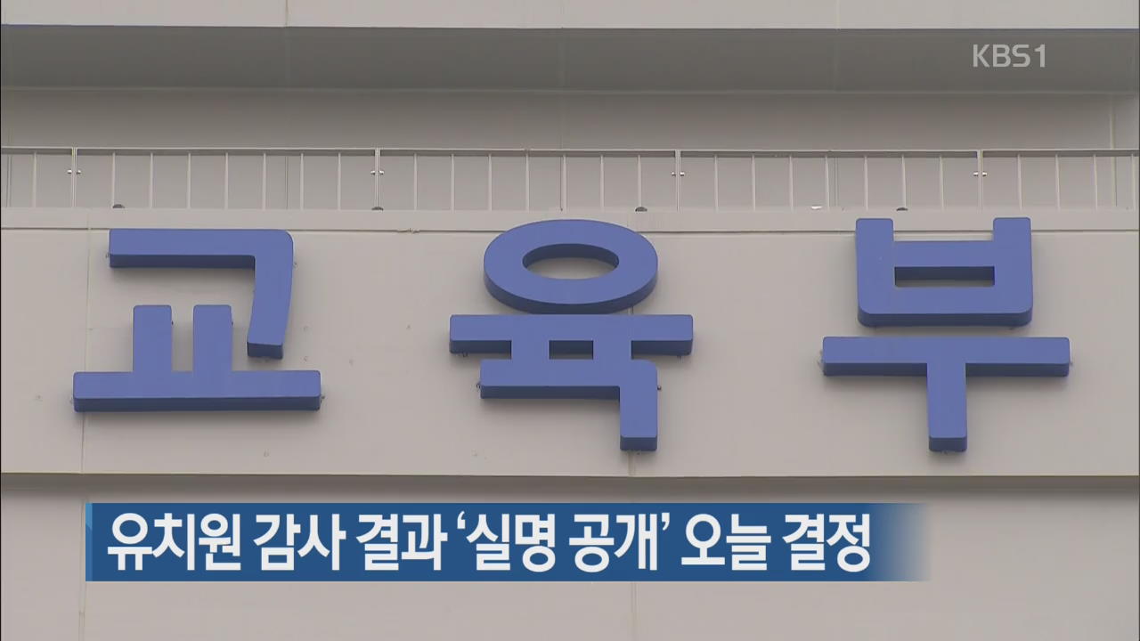 유치원 감사 결과 ‘실명 공개’ 오늘 결정