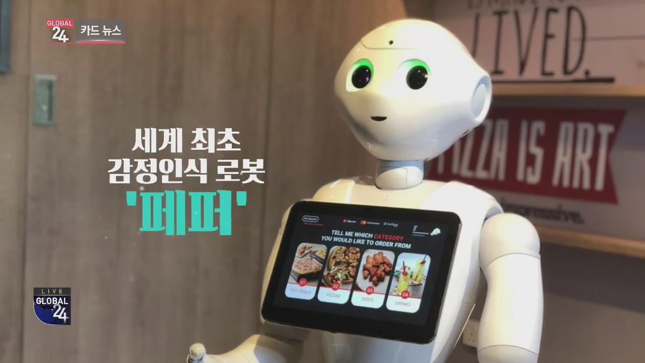 [글로벌24 카드뉴스] 세계 최초 감정인식 로봇 ‘페퍼’