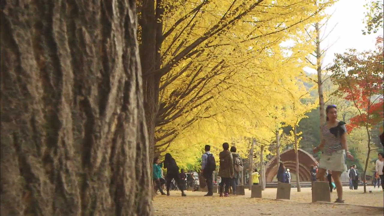 [Korea Snapshot] The Deepening Autumn