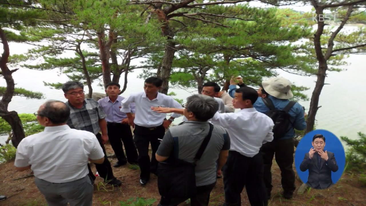 남북 산림협력회담 시작…소나무 재선충병 공동방제 등 논의