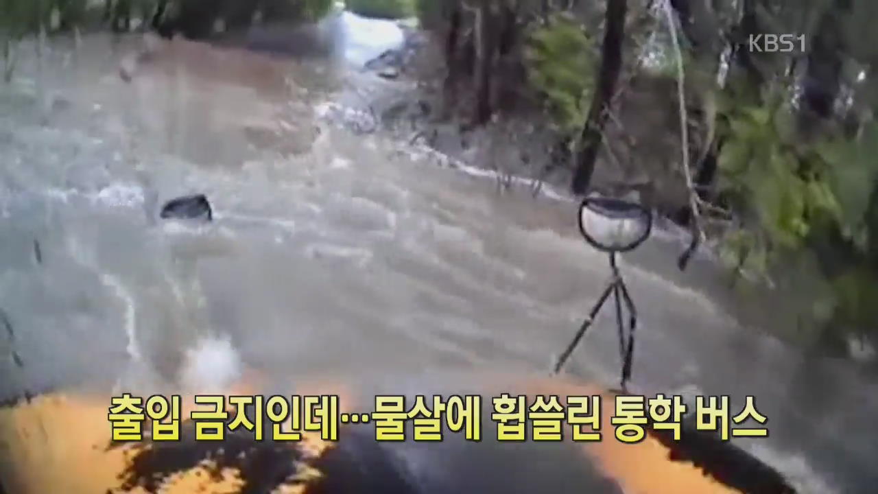 [디지털 광장] 출입 금지인데…물살에 휩쓸린 통학버스