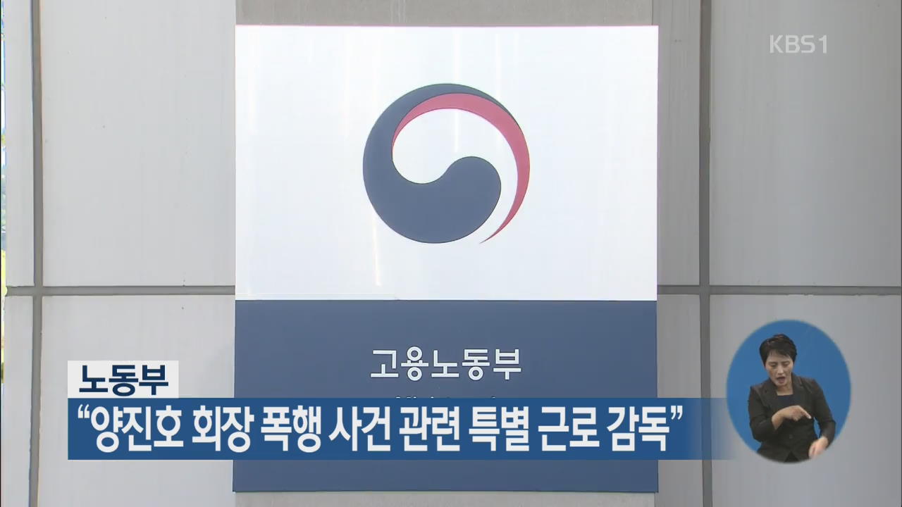 노동부 “양진호 회장 폭행 사건 관련 특별 근로 감독”