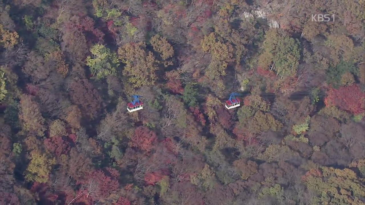 저무는 가을, 단풍도 끝자락