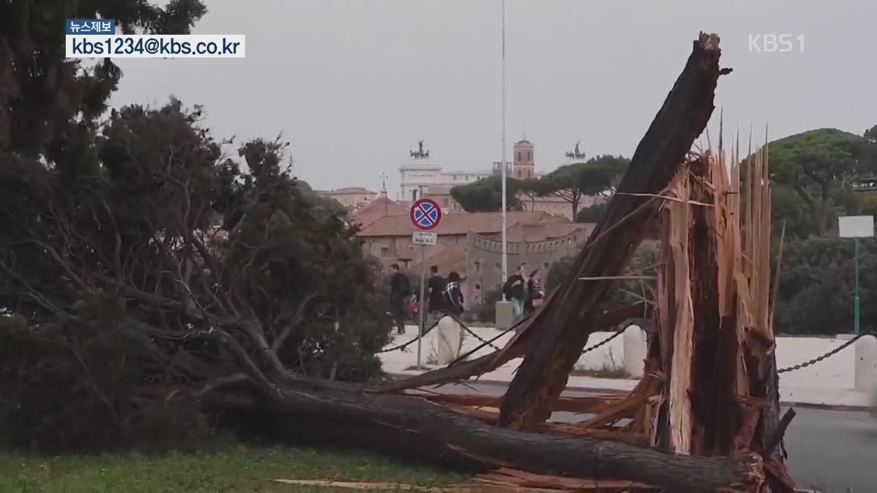 이탈리아 폭풍우로 20명 사망…나무 천 4백만 그루 쓰러져