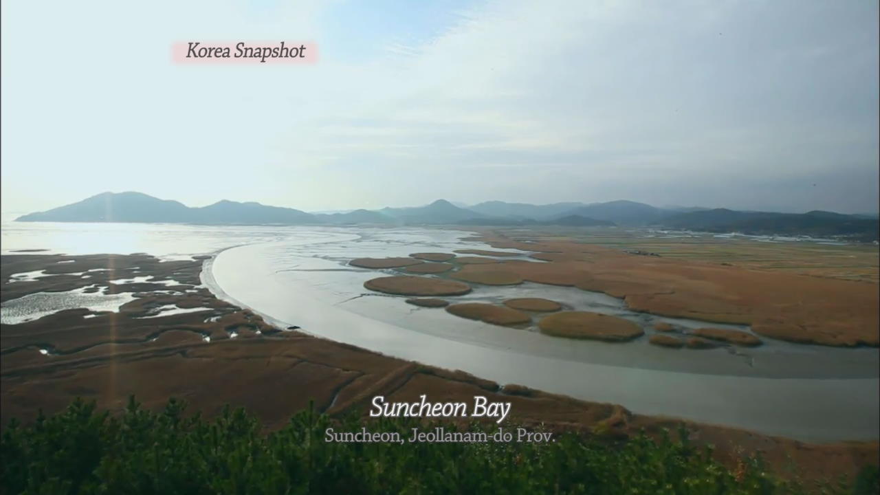 [Korea Snapshot] Suncheon Bay