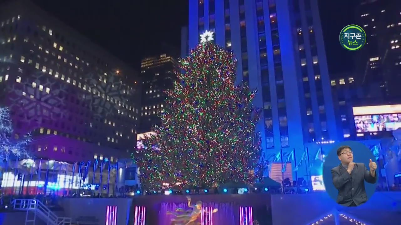 美 뉴욕, 록펠러 센터 장식할 ‘올해 크리스마스 트리’