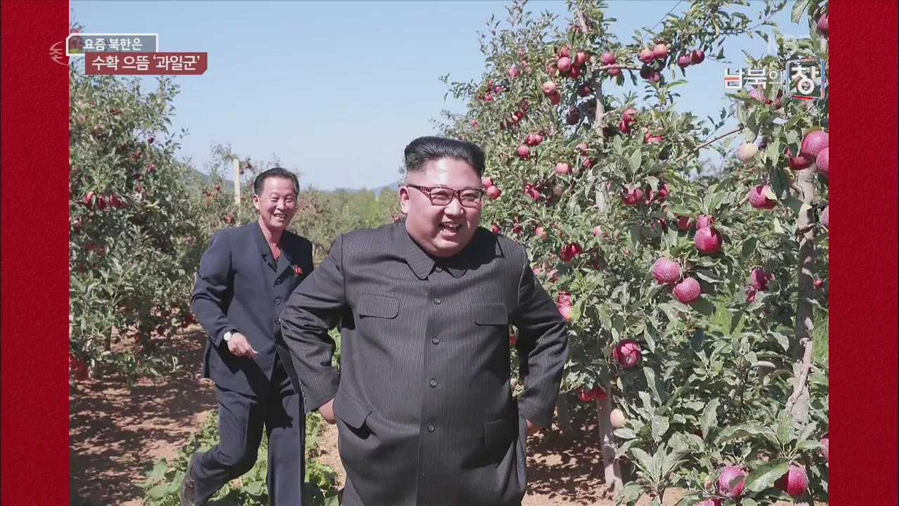 [요즘 북한은] 과일 자부심이 마을 이름에…북한 ‘과일군’ 외