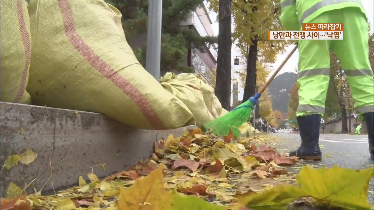 [뉴스 따라잡기] ‘낙엽’ 가을 정취는 물씬 풍기지만…“낭만 vs 전쟁”