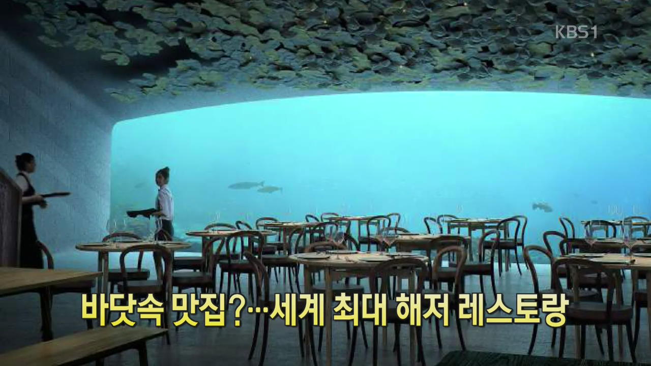 [디지털 광장] 바닷속 맛집?…세계 최대 해저 레스토랑