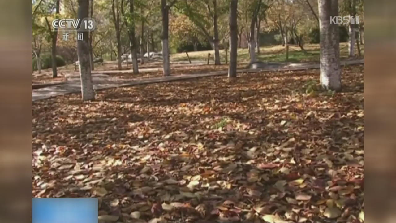 낙엽 쌓인 中 베이징 공원, 가을 정취 물씬