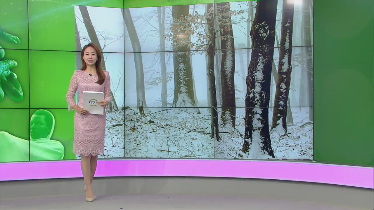 [지구촌 날씨] 헝가리 부다페스트에 쌓인 눈