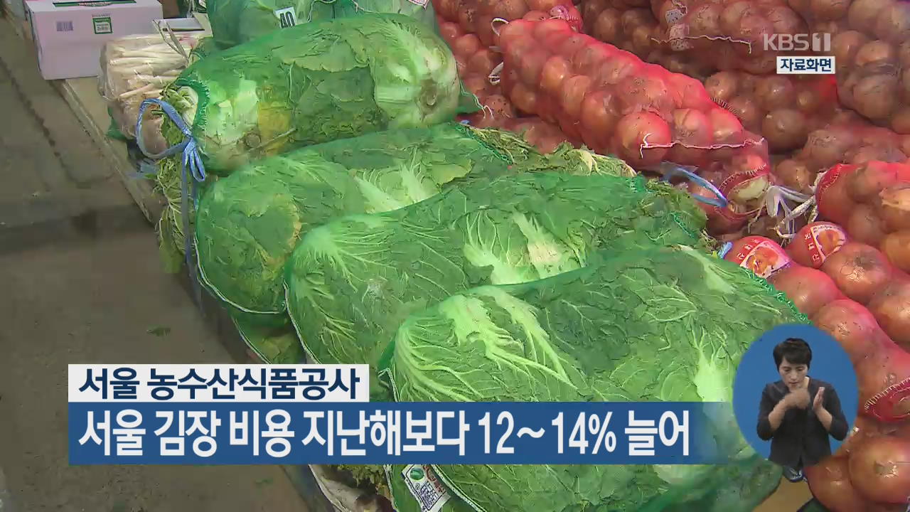 서울 김장 비용 지난해보다 12~14% 늘어