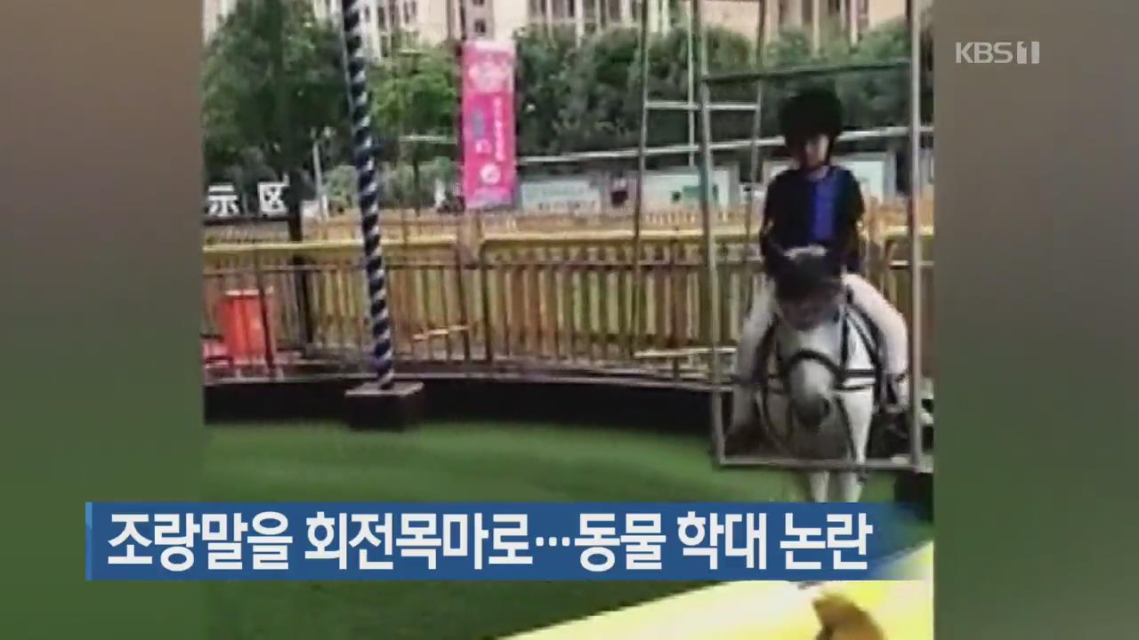 [지금 세계는] 조랑말을 회전목마로…동물 학대 논란
