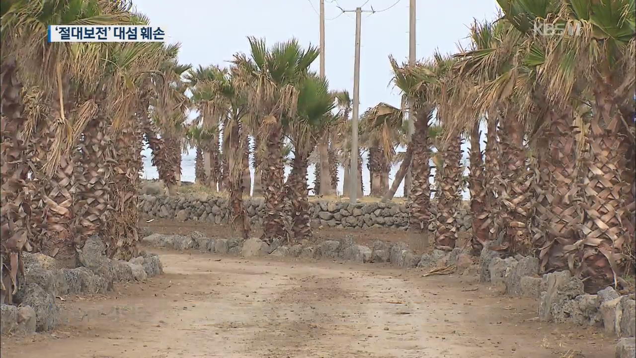 ‘올레길’ 만든다며 절대보전지역 훼손