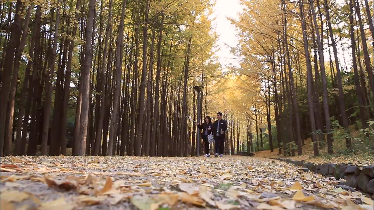 [Korean Snapshot] Seoul Forest