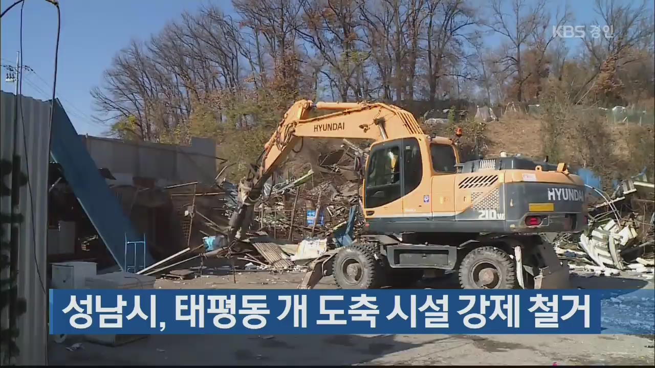 성남시, 태평동 개 도축 시설 강제 철거