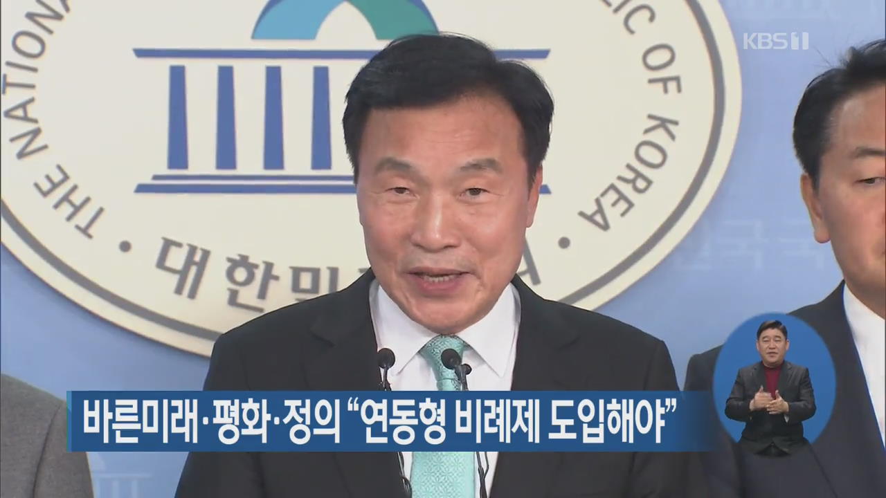 바른미래·평화·정의 “연동형 비례제 도입해야”