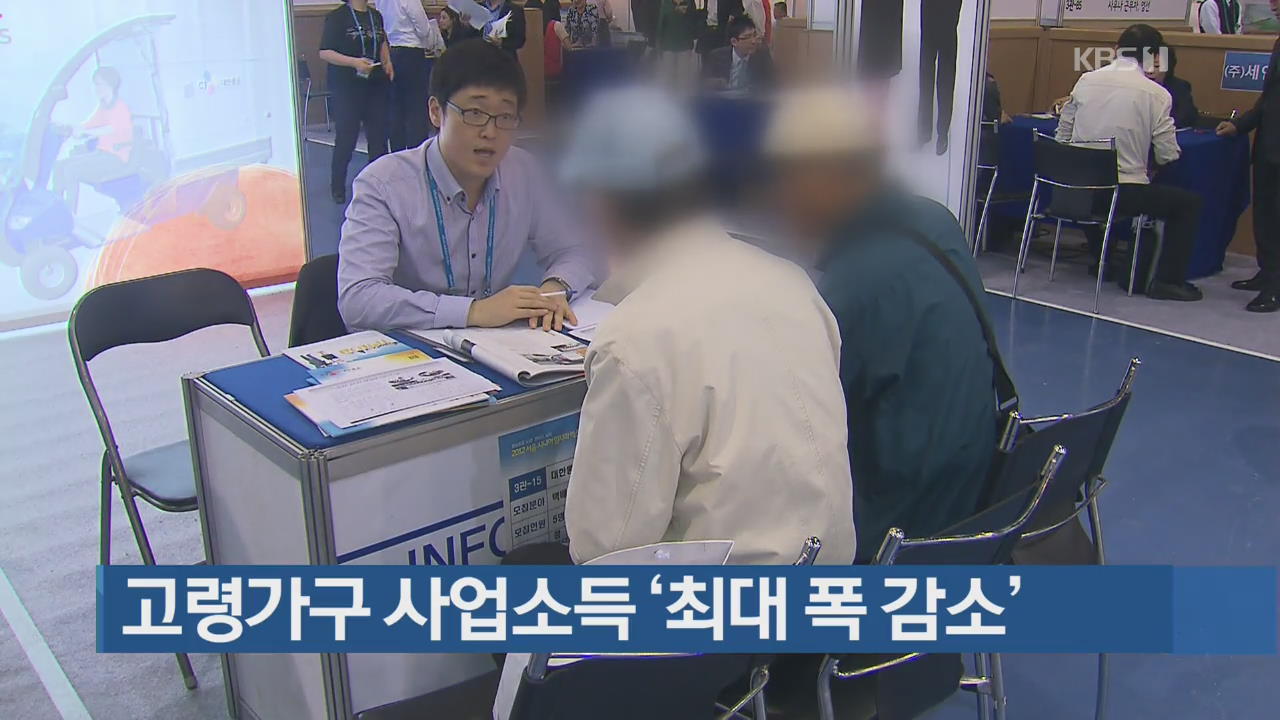 고령가구 사업소득 ‘최대 폭 감소’