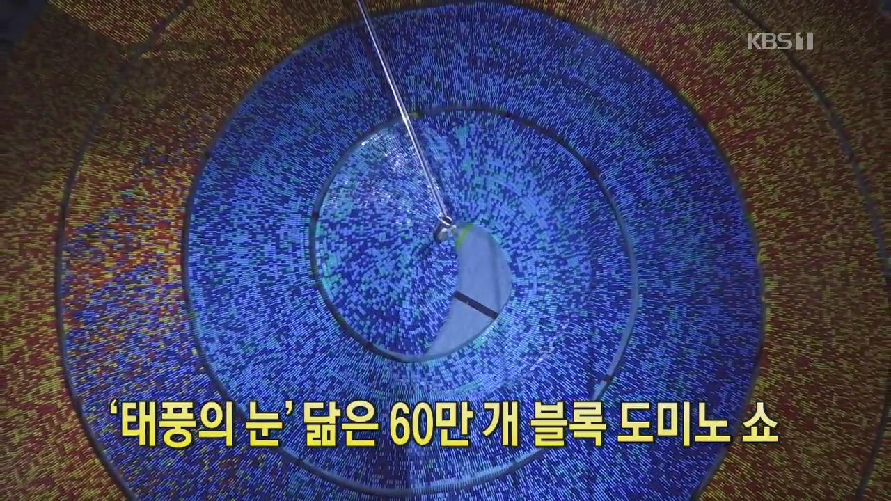 [디지털 광장] ‘태풍의 눈’ 닮은 60만 개 블록 도미노 쇼