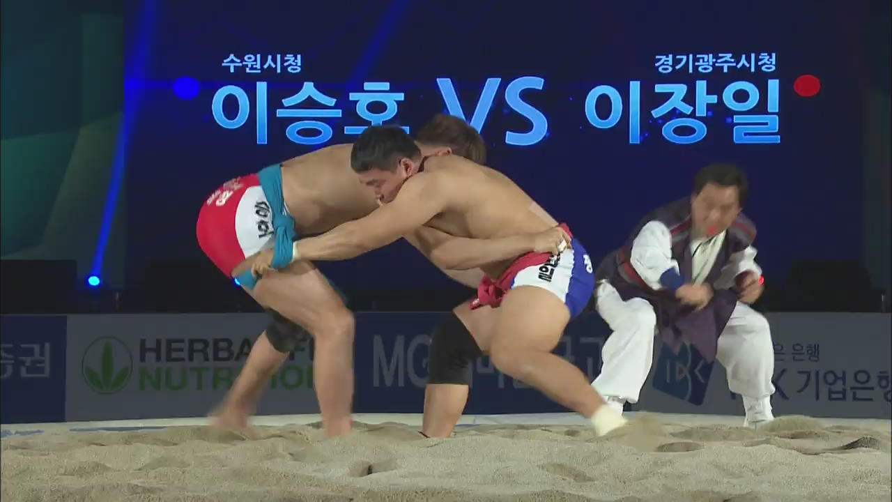 Traditional Korean Sport