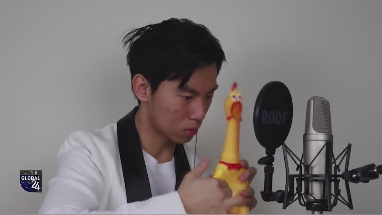 [글로벌 스토리] 고무 닭으로 연주하는 ‘캐논 변주곡’