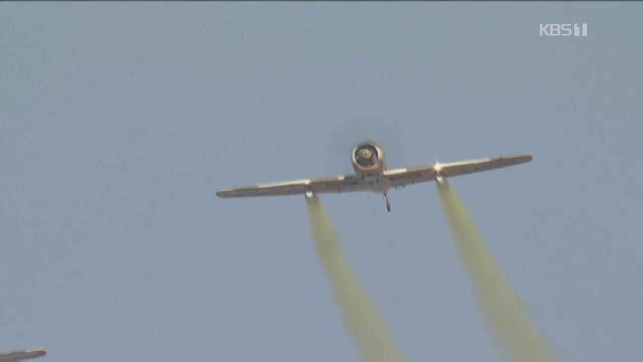 2차대전 전투기조종사, 루마니아 국경일 기념 비행