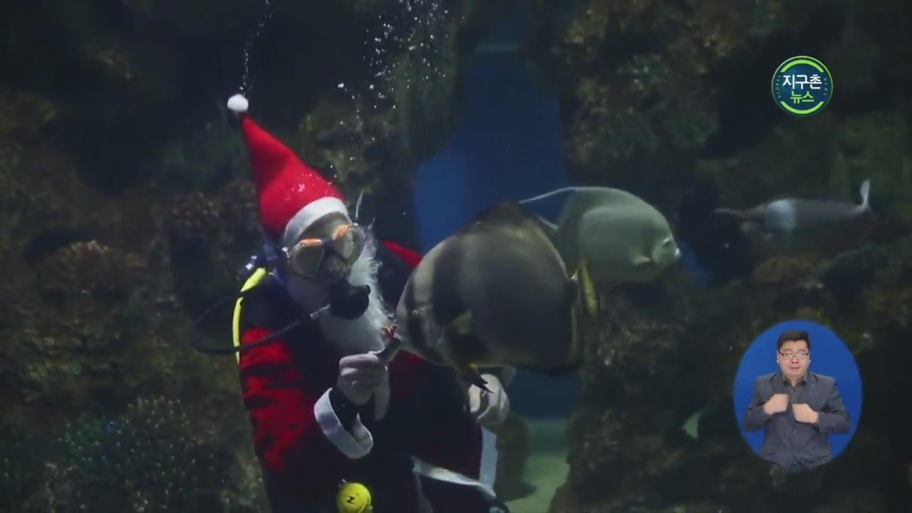 몰타 “잠수하는 산타” 크리스마스 이벤트