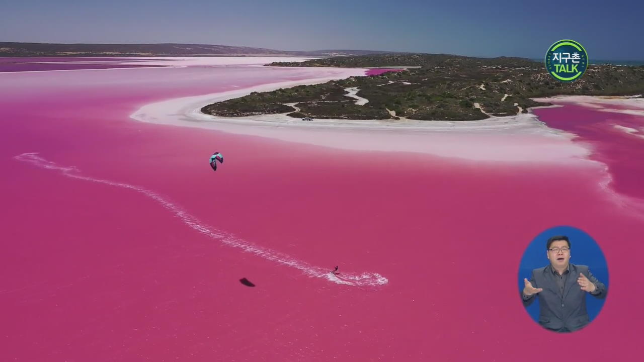 [지구촌 Talk] 분홍빛 호수 위에서 ‘카이트 서핑’