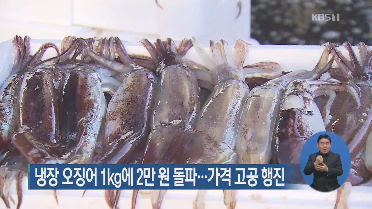 냉장 오징어 1㎏에 2만 원 돌파…가격 고공 행진