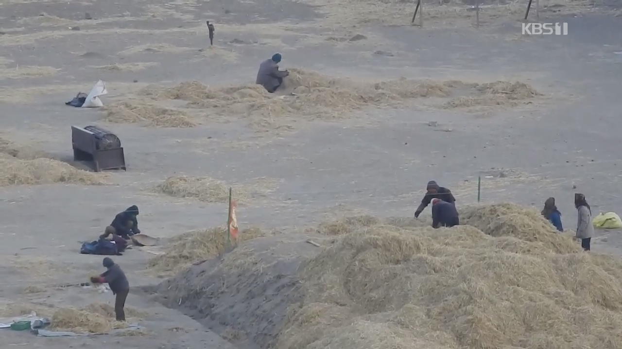 혹한 속 두만강변 北 마을…월동 준비 분주