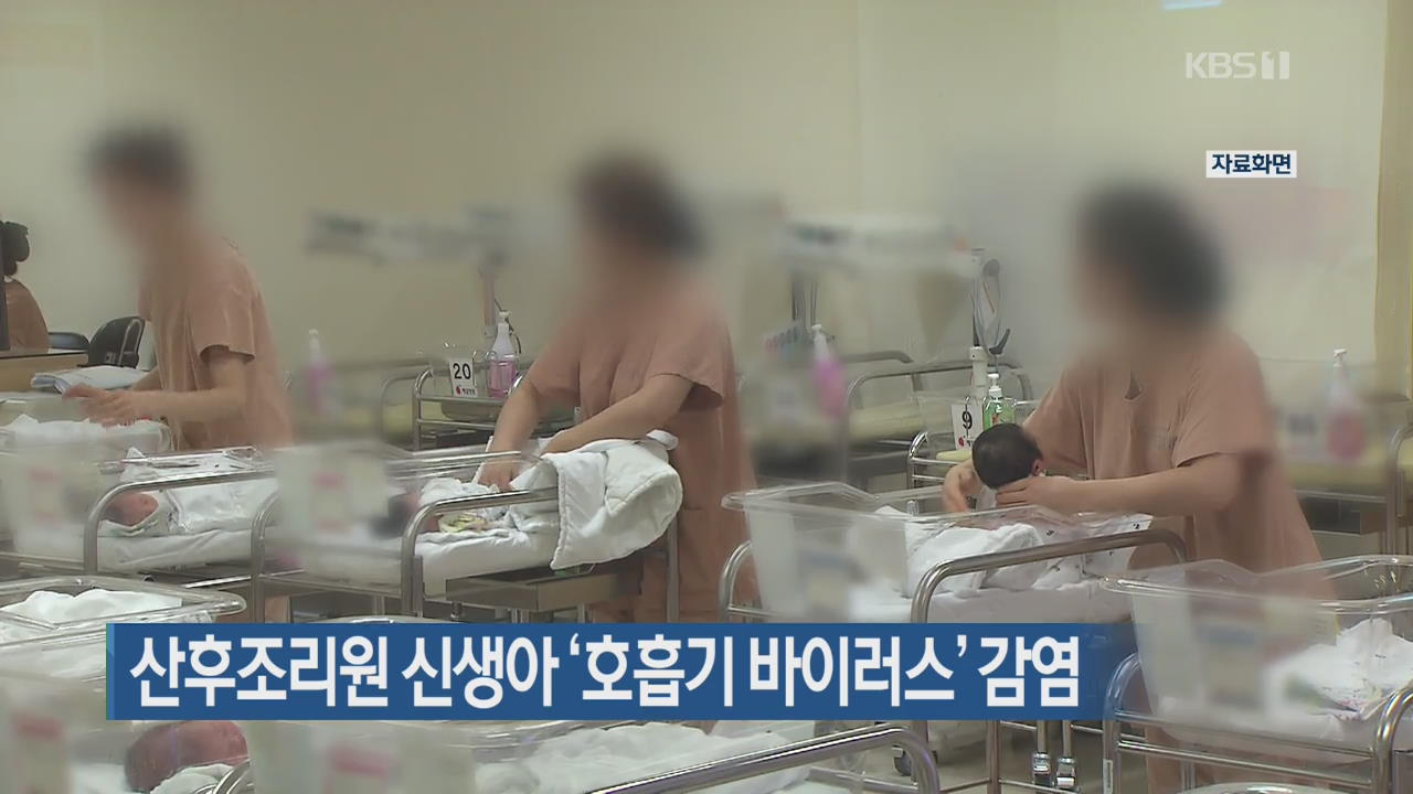 산후조리원 신생아 ‘호흡기 바이러스’ 감염