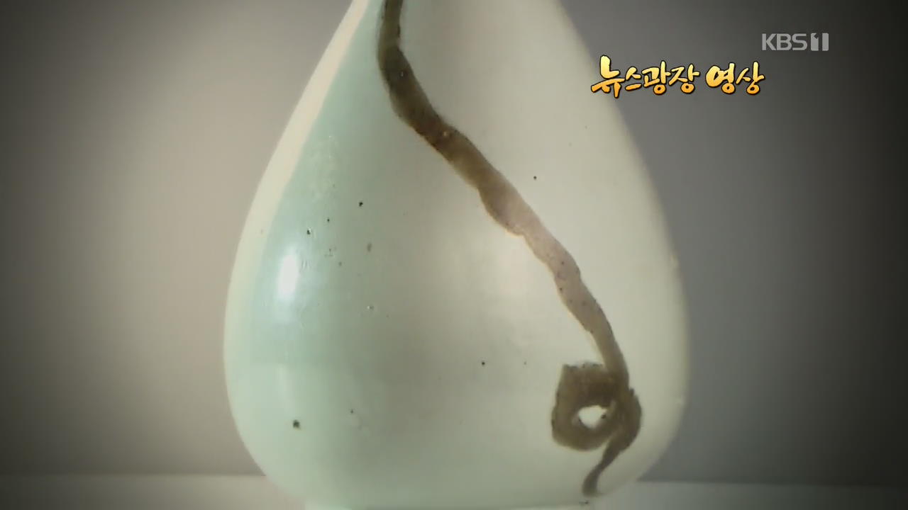 [뉴스광장 영상] 백자 끈 무늬 병
