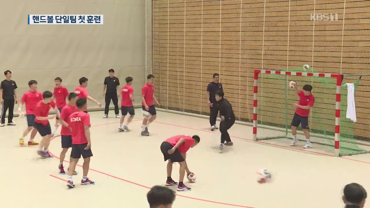 남북 첫 핸드볼 단일팀…세계선수권 향해 담금질