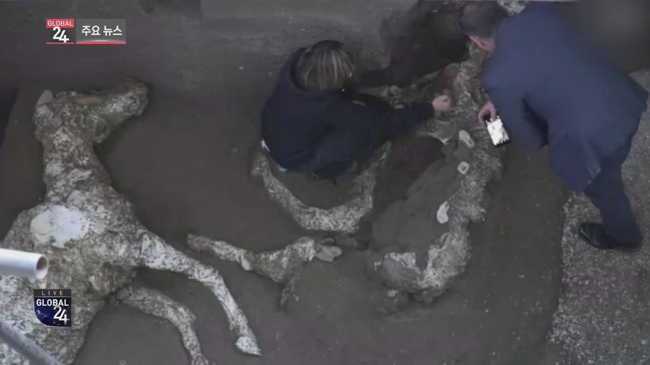 [글로벌24 주요뉴스] 이탈리아 “폼페이 유적지서 2,000년 전 말 화석 발굴”