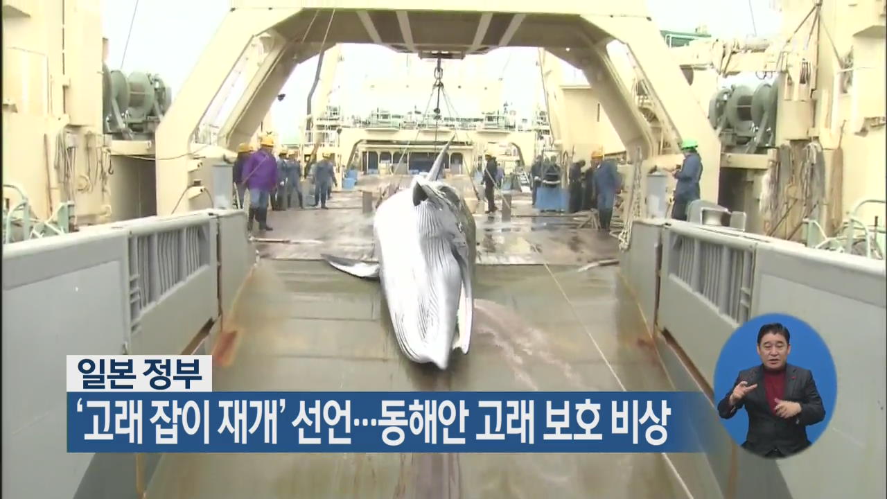 日 정부 ‘고래 잡이 재개’ 선언…동해안 고래 보호 비상