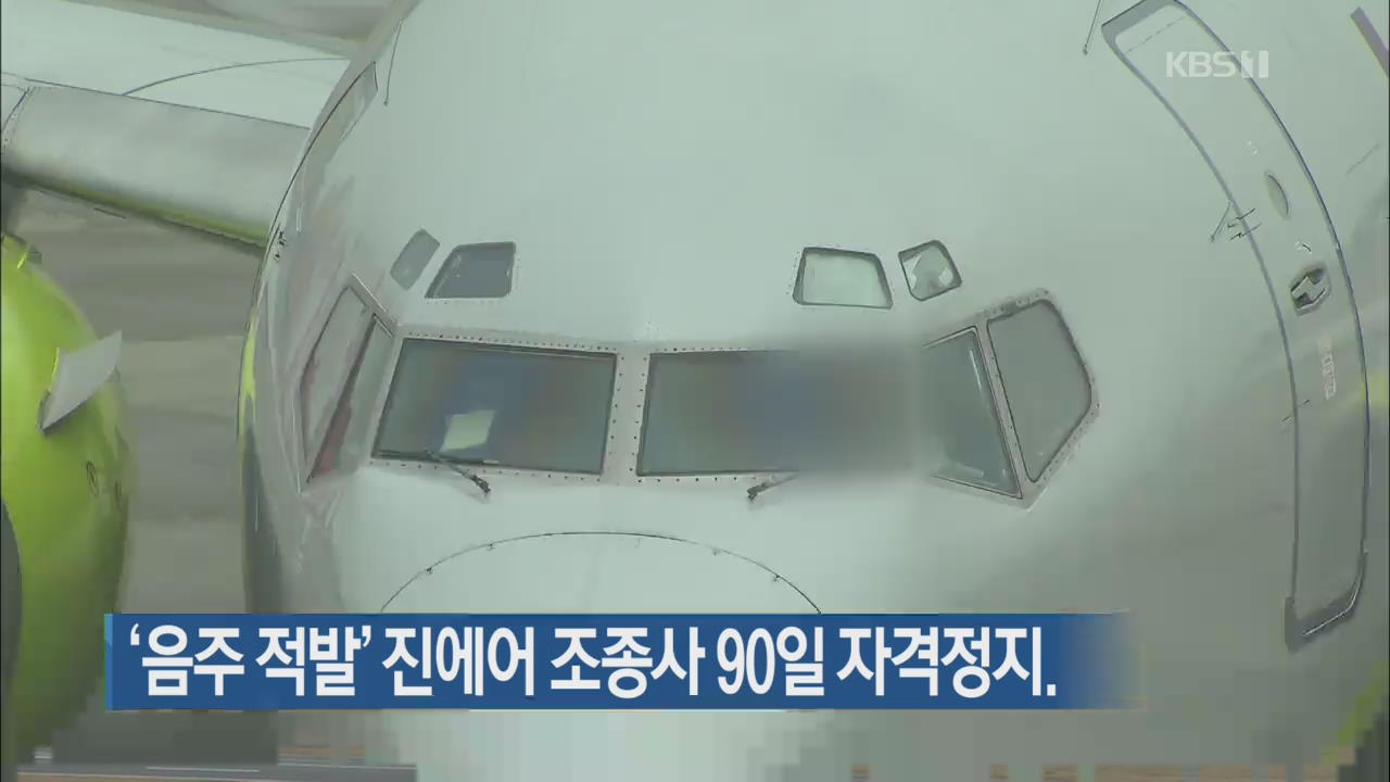 ‘음주 적발’ 진에어 조종사 90일 자격정지