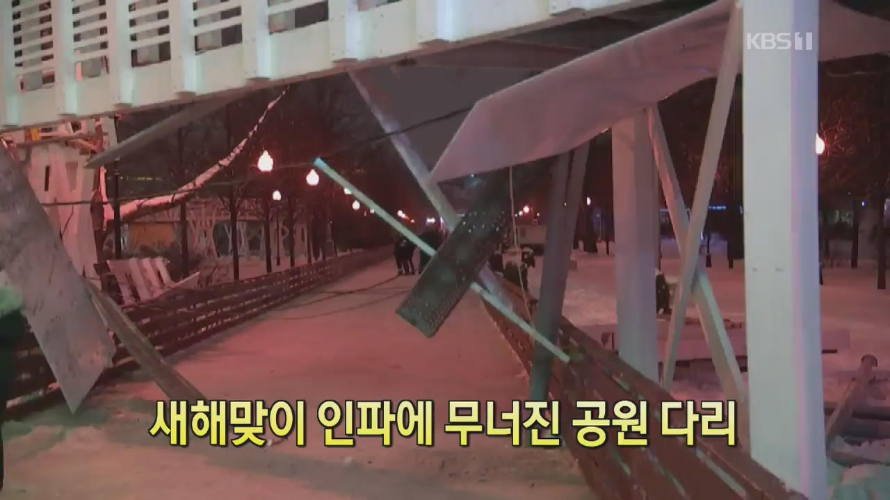 [디지털 광장] 새해맞이 인파에 무너진 공원 다리