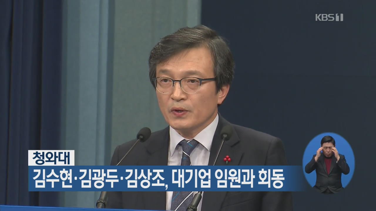 靑 김수현·김광두·김상조, 대기업 임원과 회동