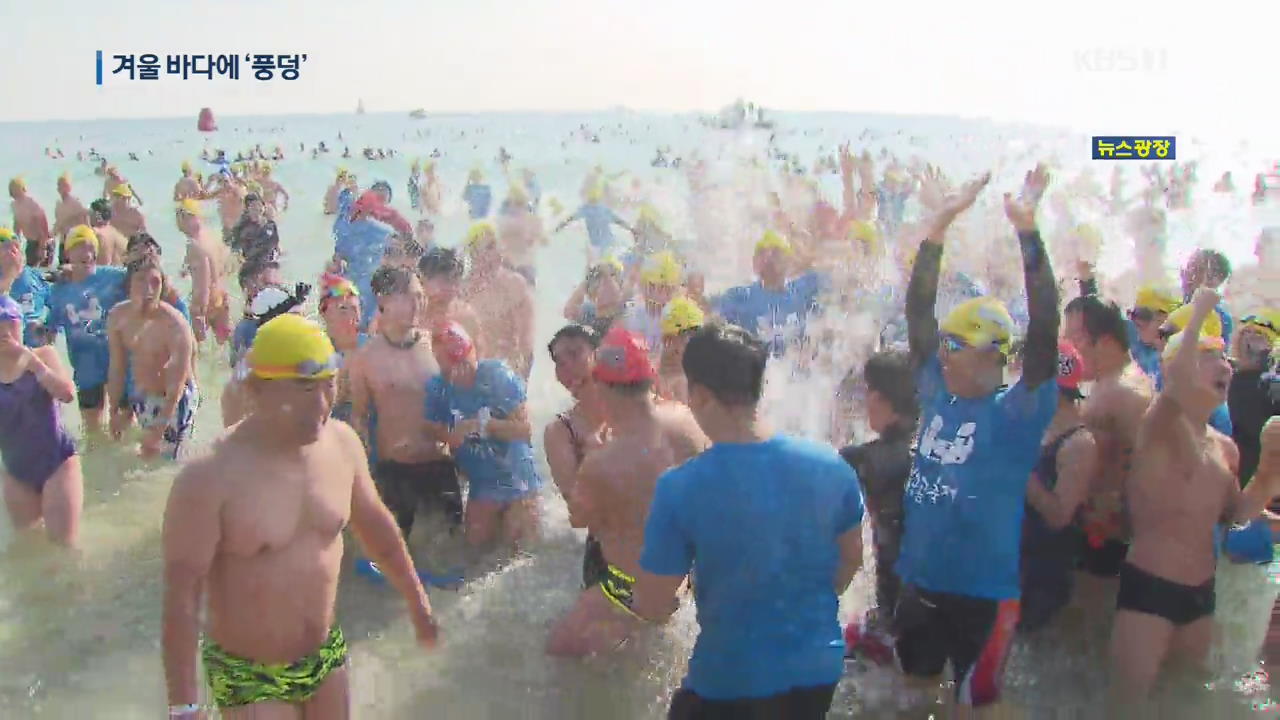 한겨울 바다에 ‘풍덩’, 해운대북극곰축제