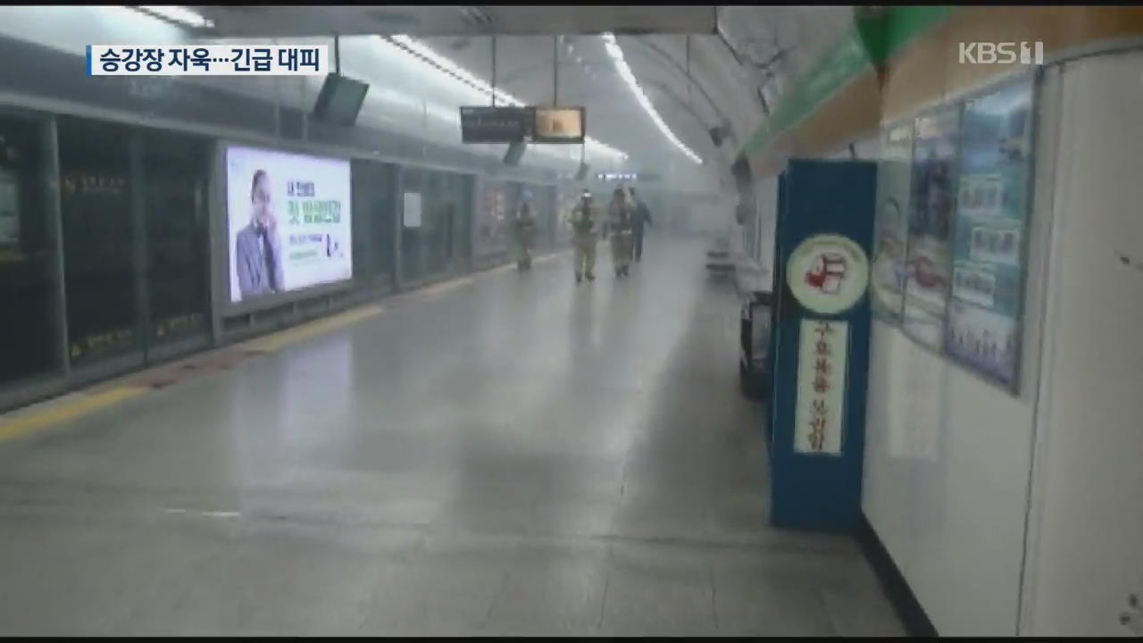 서울 6호선 합정역 연기 ‘자욱’…승객 긴급 대피