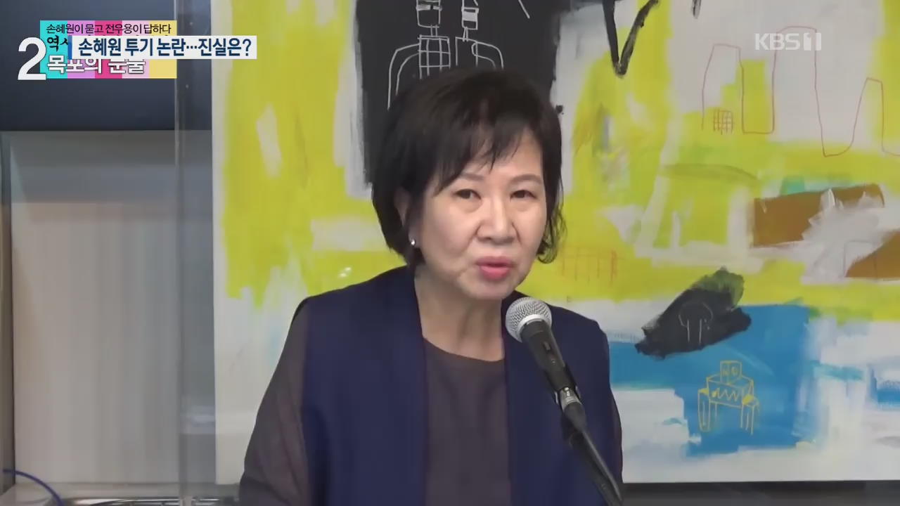 손혜원 ‘목포 문화유산 지역 투기 의혹’ 따져보니