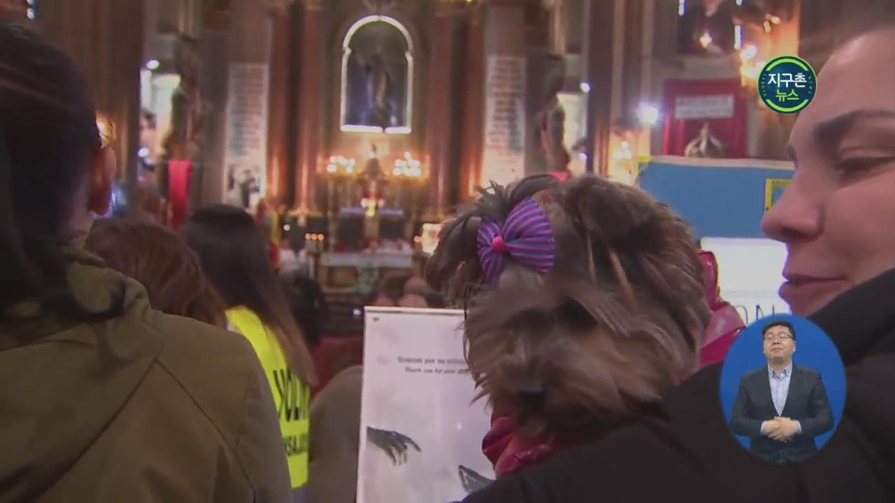 스페인 반려동물 세례식…‘주인과 행복하길’