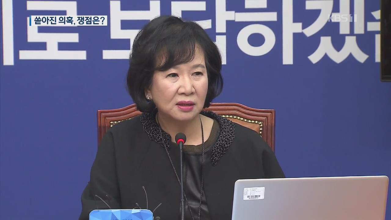 손혜원 ‘투기 논란’ 뒤 쏟아진 의혹…쟁점은?