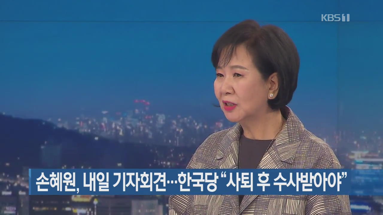 손혜원, 내일 기자회견…한국당 “사퇴 후 수사받아야”