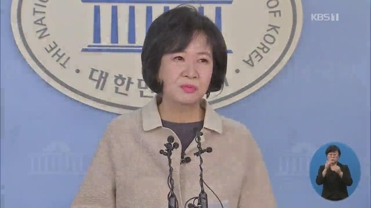 ‘투기 의혹’ 손혜원 민주당 탈당…“당에 더 이상 부담 안돼”