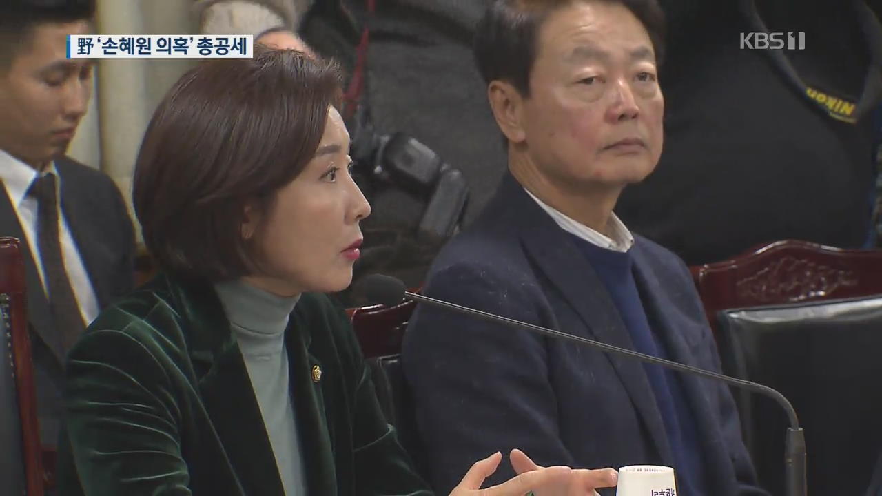 한국당 ‘손혜원 의혹’ 총공세…이 총리 “법대로 대처”