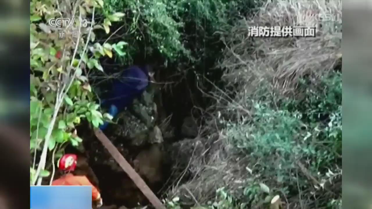 중국서 ‘깊이 10m’ 동굴에 빠진 황소 구조